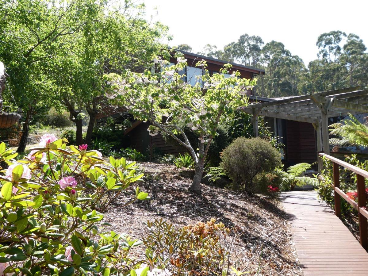 Osprey Lodge & Bungalow Eaglehawk Neck Dış mekan fotoğraf